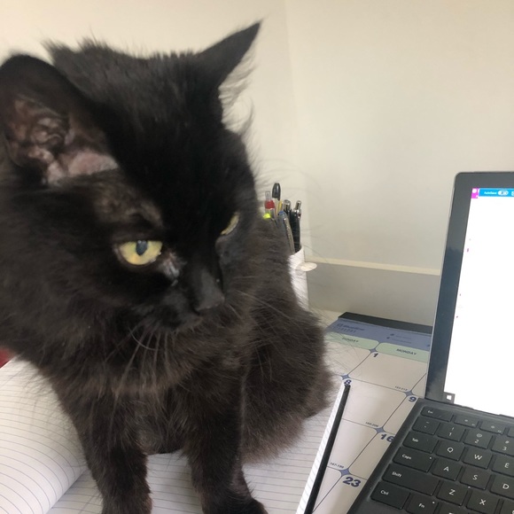 Meet your Posher, Krista - Picture 1 of 1